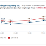 Gold Prices Surge: SJC Gold and Ring Gold Rates on the Rise as of January 14th