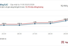 Gold Prices Fluctuate Wildly: Experts Warn of Impending “Game Over” Moment