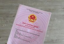 Exciting News: Two More Cases Granted First-Time Land Titles Starting 2026 – Essential Information for Residents