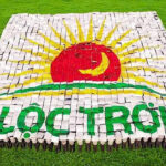 Lộc Trời Group Appoints New CEO