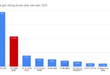 Q4/2025: DNSE Solidifies Position as Top 2 Derivatives Broker with 24.26% Market Share