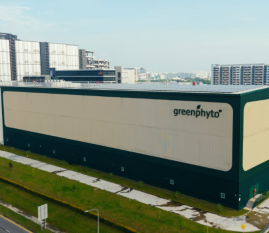 Southeast Asia’s Agricultural Titan: Building the World’s Tallest Indoor Farm, Producing 2,000 Tons of Vegetables Annually with Seed-Sowing Robots & Climate Control