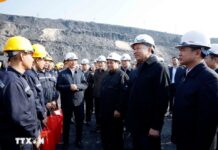 Vietnamese Leaders Visit Firm Extracting Nearly 3 Million Tons of “Black Gold,” Generating $220 Million in Revenue