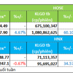 Liquidity Surge Unleashes Widespread Capital Flow Across Diverse Sectors