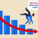 Top Stocks That Plummeted the Most in 2025