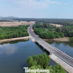 Breathtaking Coastal Drive Through Quảng Ngãi’s Majestic Pine Forests and Pristine Sand Dunes