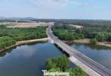 Breathtaking Coastal Drive Through Quảng Ngãi’s Majestic Pine Forests and Pristine Sand Dunes