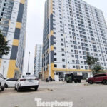 North Ninh Announces Affordable Housing Sales Across Three Projects, Starting at Over 12 Million VND/m²