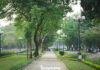 Transformed Hanoi Parks: A Stunning Makeover Unveiled