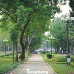 Transformed Hanoi Parks: A Stunning Makeover Unveiled