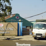 Paté Scandal Involving Diseased Meat: Current Status of Hạ Long Canned Food Factory