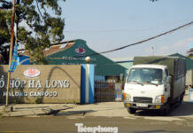 Paté Scandal Involving Diseased Meat: Current Status of Hạ Long Canned Food Factory