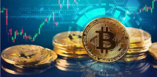 Proposed Accounting Principles for Each Participant Group in Crypto Assets