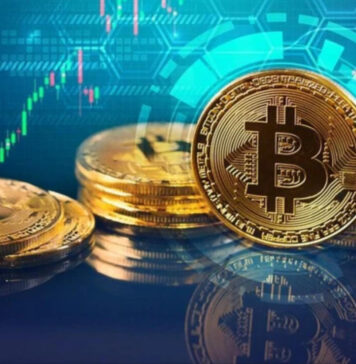 Proposed Accounting Principles for Each Participant Group in Crypto Assets