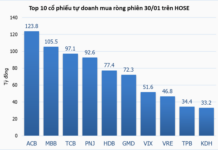 Tracking the Whale Money Flow on January 30: Net Buying Consensus, Focus on HPG