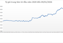 USD Price Continues to Rise