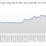 USD Price Rebounds