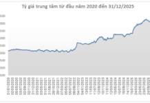 USD Price Rebounds