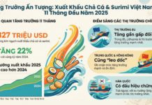 Vietnam’s ‘Delicious, Nutritious, Affordable’ Export Sensation: EU Demand Soars by Nearly 100%, China Joins the Hunt