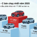 “Where’s the ‘King of the Throne’? A Dominant Car Model Still Reigns Supreme in This Segment”