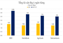 First Time in Vietnam: Three Banks Hit $100 Billion in Total Assets – Who’s Next to Enter Asia’s Top 100?