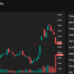 Sacombank Shares Plummet to Floor Level