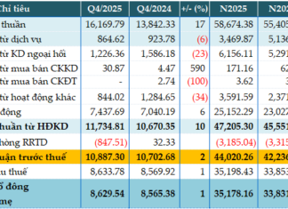 2025 Pre-Tax Profit Stagnates, Vietcombank’s NPL Ratio Improves