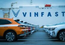 VinFast Surpasses Vingroup in Chartered Capital