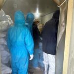 Breaking: Nearly 14,000 Boxes of ‘Streetlight Pate’ Made from Diseased Pork Destroyed