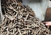 Turning Waste into High-Value Products: A Billion-Dollar Breakthrough for Businesses