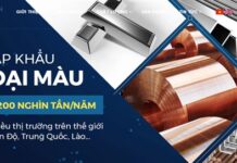 Unusual Bond Issuances by Ngoc Thien Global Lead to CEO’s Indictment