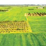 From ‘State Management’ to ‘National Governance’: A Challenge or an Opportunity?