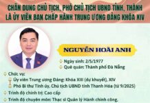 Portraits of Provincial and Municipal People’s Committee Chairpersons and Vice Chairpersons Who Are Members of the 14th Central Committee of the Communist Party of Vietnam