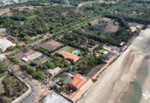 Top Real Estate Firms with the Highest Tax Arrears in Ho Chi Minh City