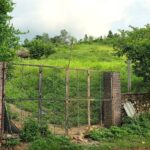 How to Pay Personal Income Tax on Land Use Rights Transfers from July 1, 2026?