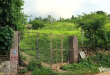 How to Pay Personal Income Tax on Land Use Rights Transfers from July 1, 2026?