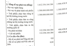 Vinam Land Reports Net Loss of Over 100 Billion VND in First Half of 2025