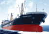 Vinaship Seeks to Expand Fleet with Sale of Additional Ocean Vessel