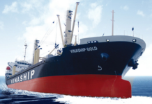 Vinaship Seeks to Expand Fleet with Sale of Additional Ocean Vessel