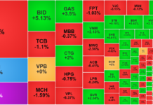 January 8th Stock Market Update: VCB Hits Ceiling, VN-Index Adjusts