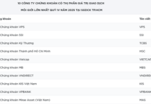 VPBankS Surges Ahead, Securing Top 10 Market Share on HOSE Amidst Fierce Competition