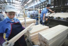 Vietnam’s Wood Industry Exports Surpass $17 Billion for the First Time