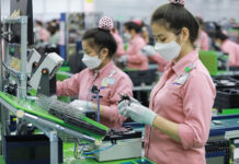 What Drives Export Growth After Record-Breaking Achievements?