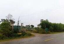 The 250 Billion VND Project: A Premature Demise on the Path to Sacred Acupoints