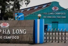 EXPOSED: The Shocking Truth About Hạ Long Canfoco’s Contaminated Paté and the Unaccountable Parties Involved