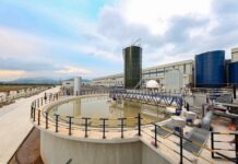 Unlocking Green Capital: When ESG Transcends the “Profile Paint Job”