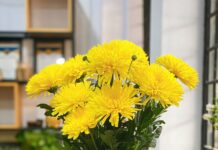 5 Auspicious Flowers to Adorn Your Altar for Tet: Inviting Prosperity, Fortune, and New Year Blessings