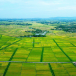 Empowering Local Governments: Enhanced Land Management Authority Granted by the Central Government