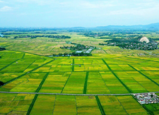 Empowering Local Governments: Enhanced Land Management Authority Granted by the Central Government