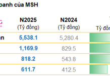 MSH Records Historic Profit of VND 612 Billion: How Will Nearly 12,000 Employees Be Compensated?